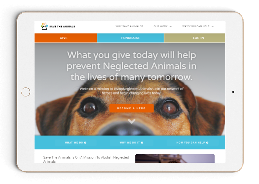 Why Animal Cruelty - Save The Animals Why Animal Cruelty - Save The Animals